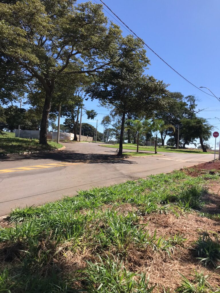 Ágio a venda Condomínio Florestal Florata